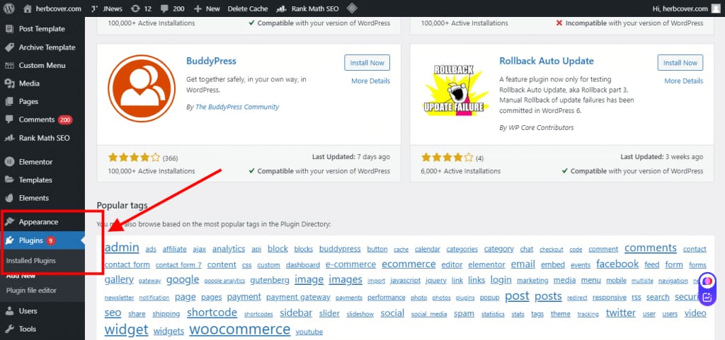 Plugin Option in WordPress