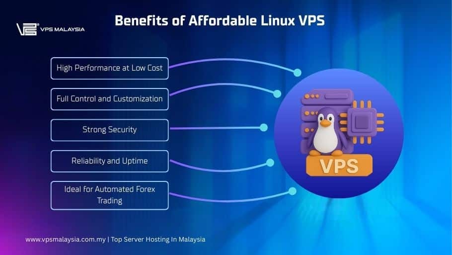 Benefits of Affordable Linux VPS