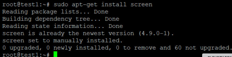 Install screen on the server