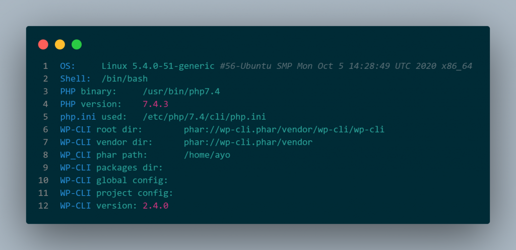 Output while checking WP-CLI command line